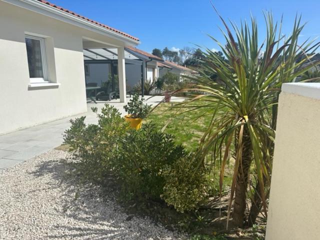 Belle Maison Malou Climatisee Calme, Piscine, Jacuzzi 3Km Plage Labenne Capbreton Buitenkant foto
